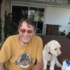 Adamovich George